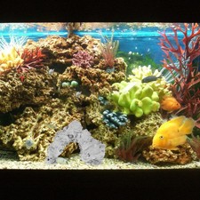  Ornamento Del Serbatoio Dei