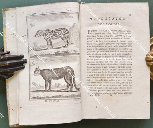 Storia naturale zoologia
