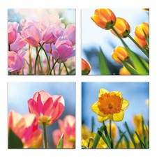 Quadri fiori 4 Pezzi Stampa su Tela con Telaio in Legno Arredamento Arte