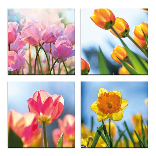 Quadri fiori pezzi - quadri,