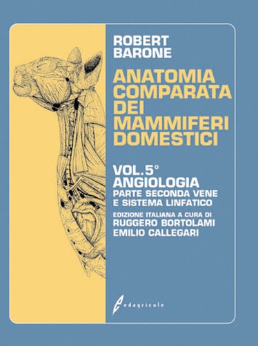 Anatomia comparata dei