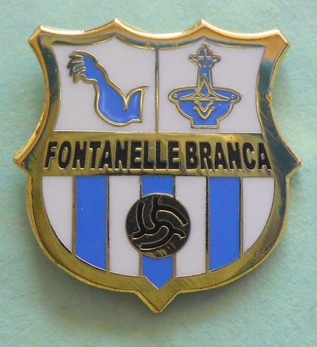 Distintivo spilla pin - spilla,