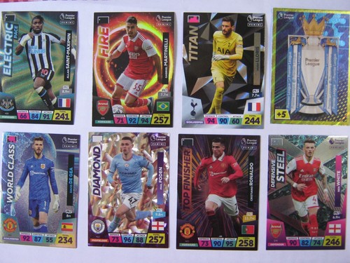 Panini adrenalyn premier - panini,