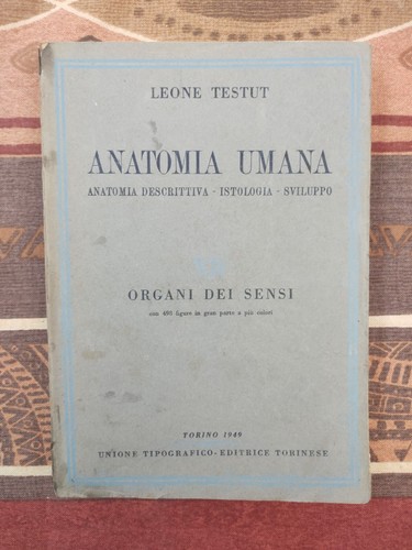 Leone testut anatomia - leone, umana