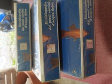 DE JONG H. - PACCAGNELLA W. -