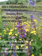 Salvia da prato, Salvia