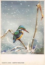 25-3D) CARTOLINA ROBERTO LEMMI