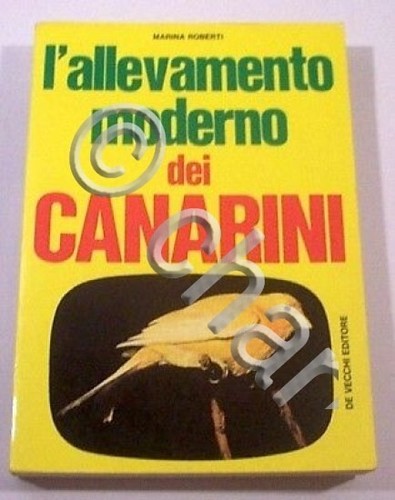 Ornitologia roberti - roberti,