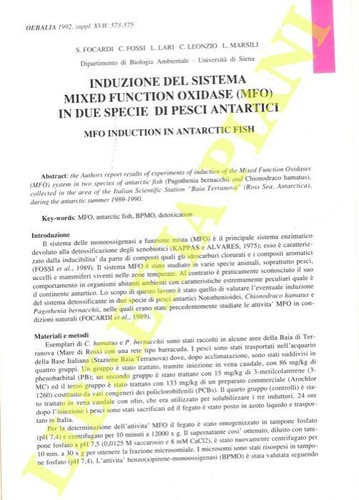 Focardi fossi lari l - focardi,