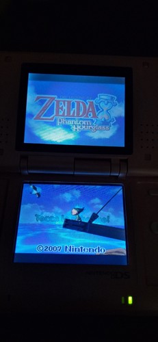 Tanti giochi nintendo ds - giochi,