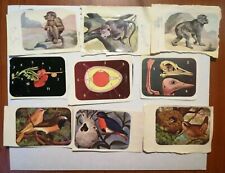 FIGURINE ALBUM ENCICLOPEDIA TOPOLINO - MAI ATTACCATE 