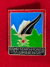 Spilla   ESERCITO  =  COMP