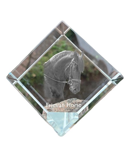 Frisone cavallo cubi - -,
