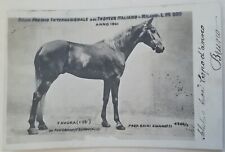 CARTOLINA GRAN PREMIO TROTTO