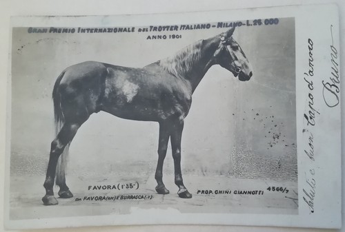 Cartolina gran premio trotto - gran,