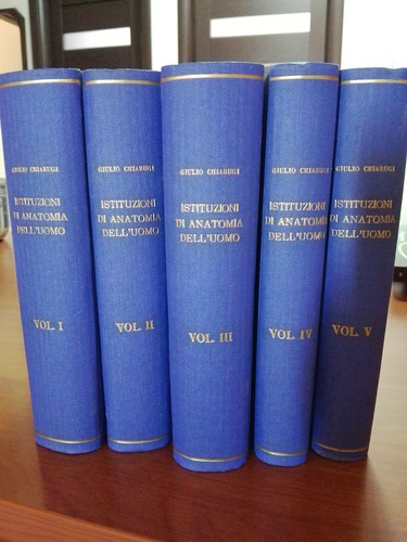 Istituzioni anatomia - istituzioni, di