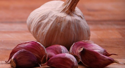 Semi aglio rosso - aglio,