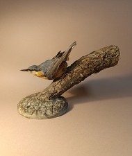 Taxidermy, Cabinet De