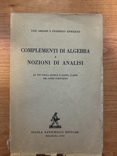 Amaldi f enriques - u.amaldi,