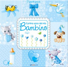 Il primo anno del mio bambino