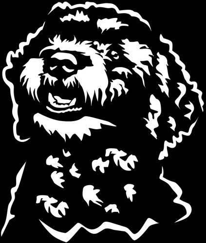 Adesivo lagotto romagnolo - adesivo,
