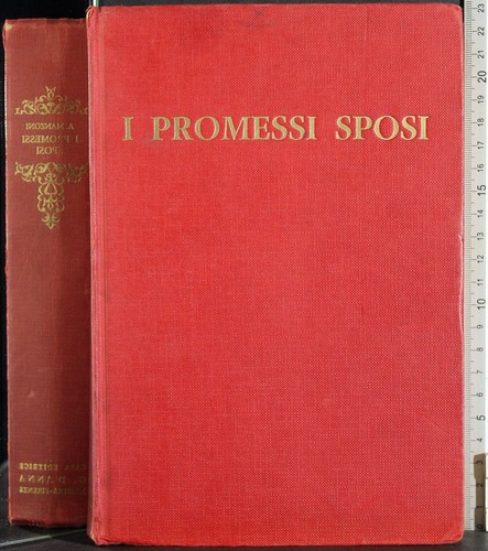 Promessi sposi alessandro - i,