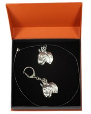 Bull Terrier Tipo 2 - Set - Il