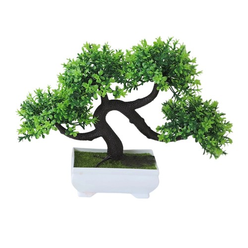 Per armadi bonsai - per,
