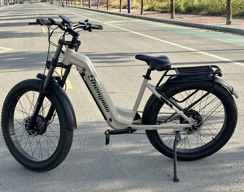 Bici elettrica donna - bici,