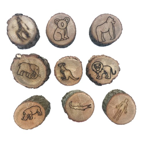 Pezzi tracce di animali - tracce,