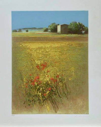 Agostino cancogni 50x40 - cancogni,