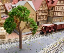 20 Alberi Verde Scuro, 70 Mm