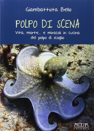 Polpo scena vita morte - scena, vita,