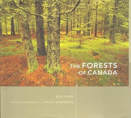 Farr kenneth forest - kenneth, canada