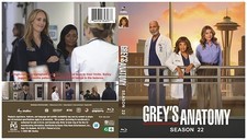Grey anatomy stagione 22 - anatomy,