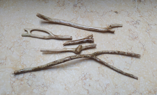 Corallo naturale ramo - , 205