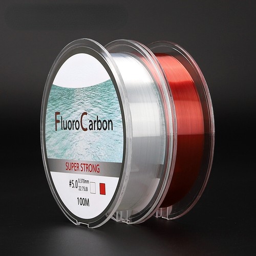 Lenza pesca 100m - lenza,