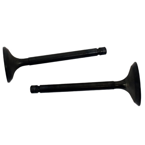 Coppia valvole motore yamaha - motore,