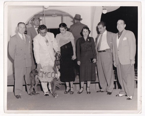 Greyhound cuban stazione - greyhound,