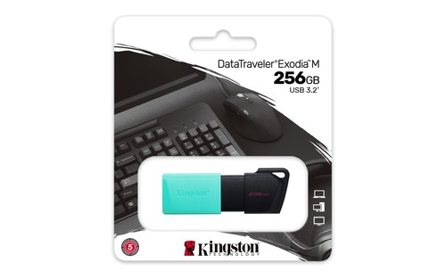 Kingston pendrive data - kingston,