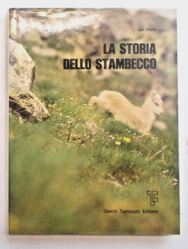 Tamiozzo qui comincia - qui, la