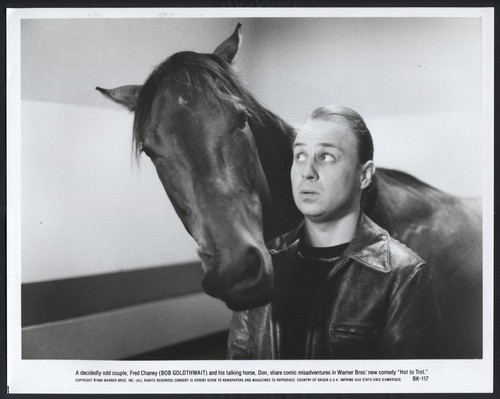 Bob goldthwait cavallo - in,