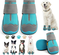 Scarpe per Cani Di Taglia
