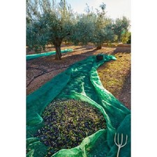 TELO RETE RACCOLTA OLIVE