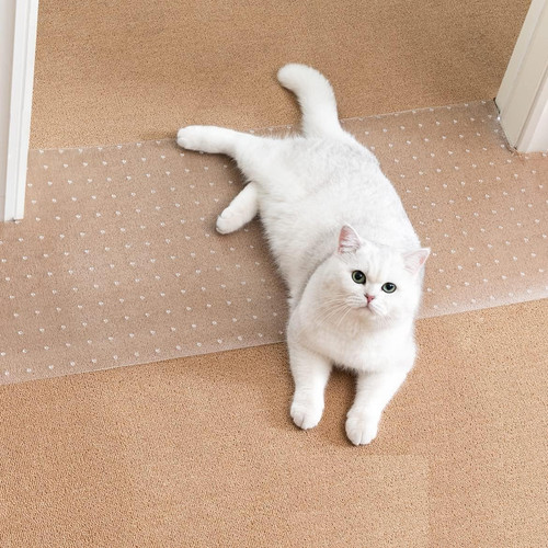 Carpet protector for pets - pets,