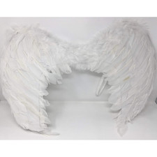 ALI ANGELO ADULTO COD.19792