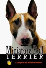 Miniature Bull Terrier