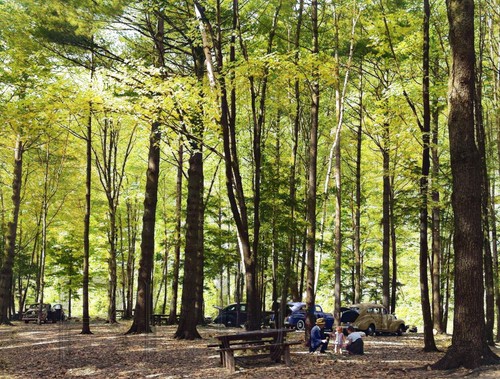 Campo picnic campeggio - da,