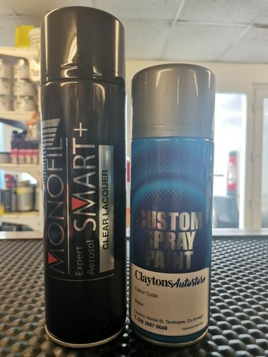Kit vernice spray aerosol - vernice,