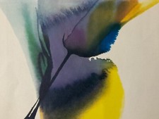 Paul Jenkins (Christo tappeto